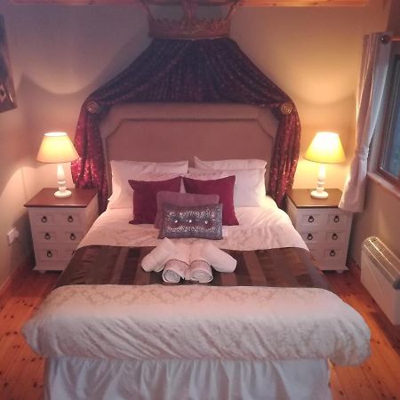 Stay With Your Pet Killarney Ngoại thất bức ảnh