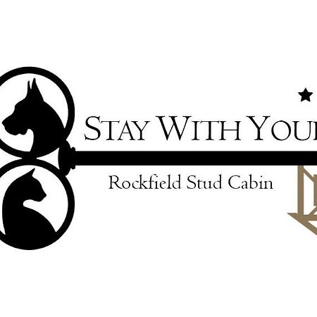 Stay With Your Pet Killarney Ngoại thất bức ảnh