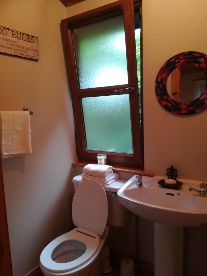 Stay With Your Pet Killarney Ngoại thất bức ảnh