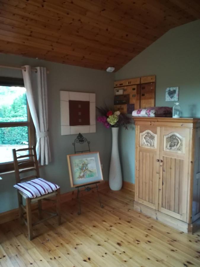 Stay With Your Pet Killarney Ngoại thất bức ảnh